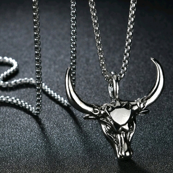Other - Stainless Steel Silver Bull Head Pendant Necklace 22"